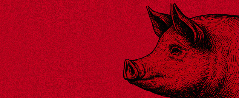 Pork Meat